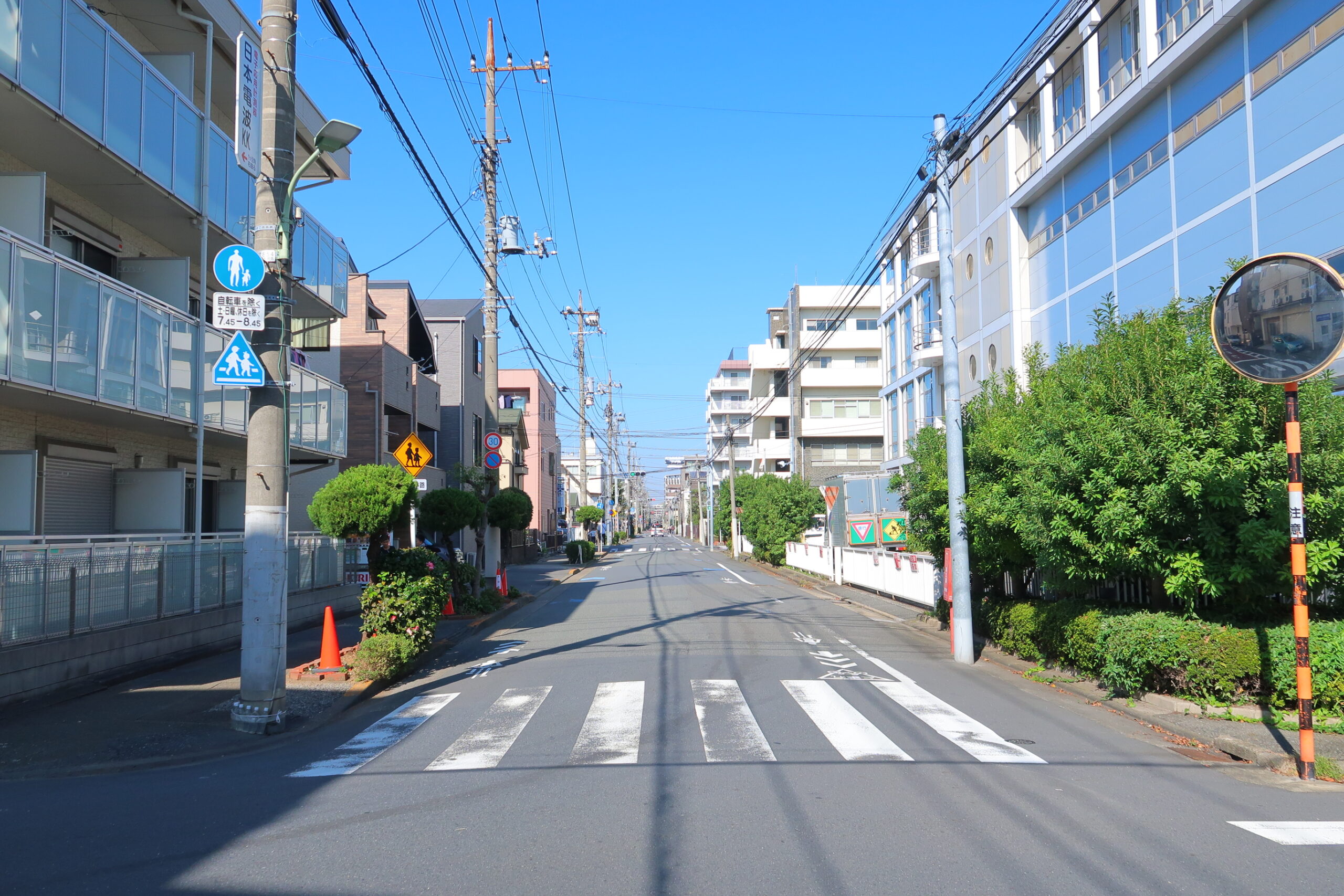 スライド画像