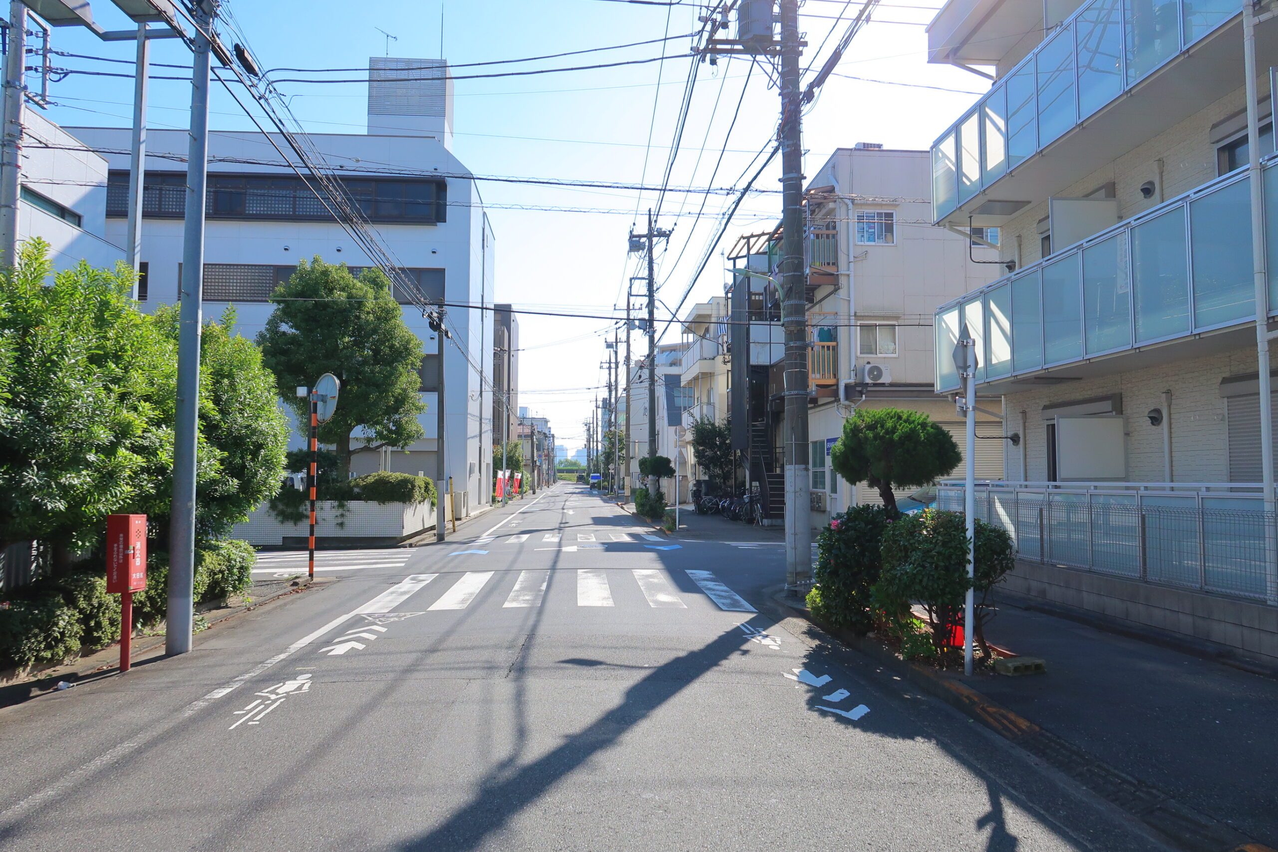 スライド画像