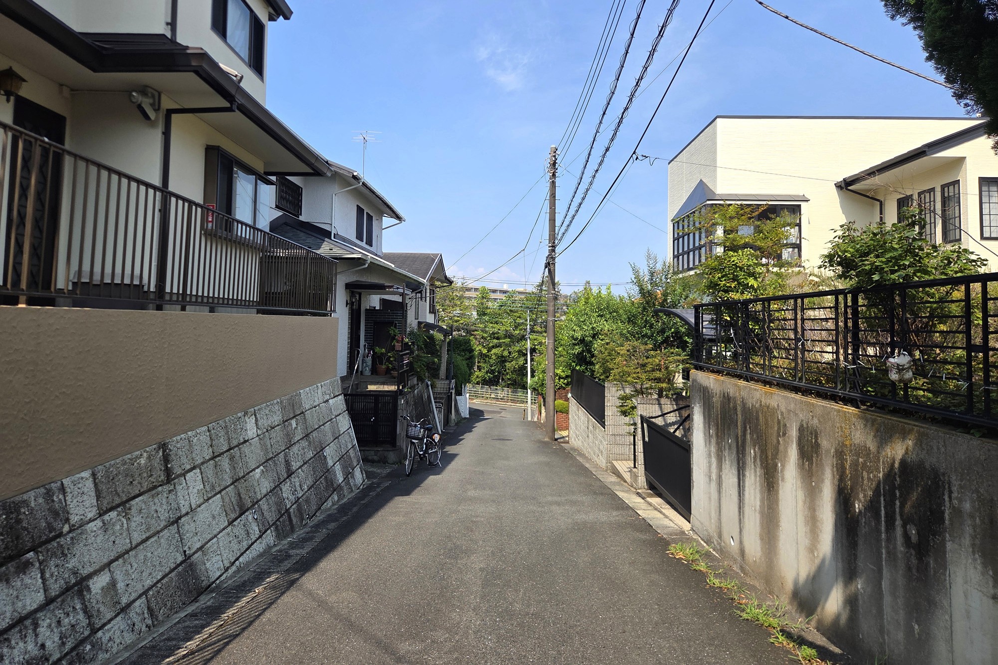 スライド画像